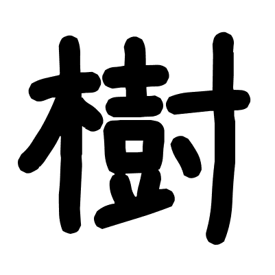 樹