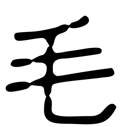 毛