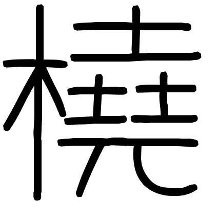 橈