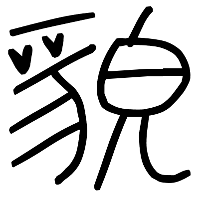 貌