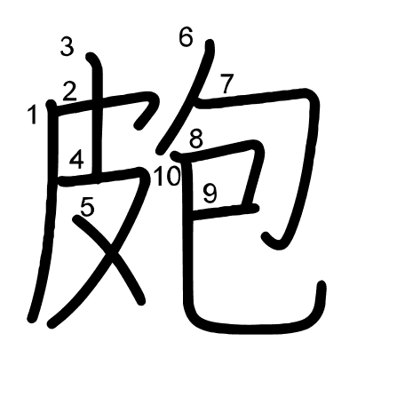 皰