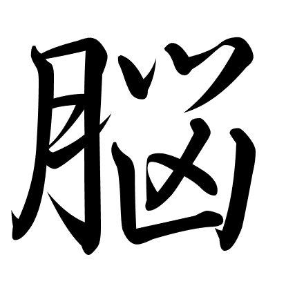 脳